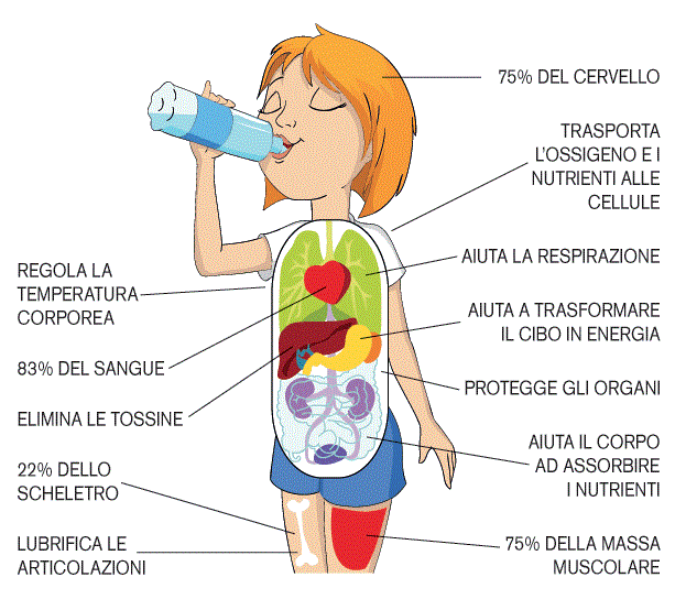 benessere-acqua-corpo
