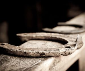Un ferro di cavallo poggiato su un'asse di legno