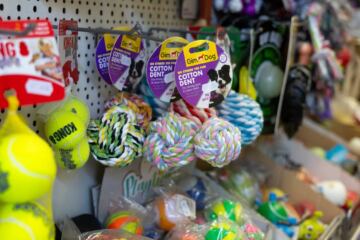 Il negozio Piume Code e Baffi