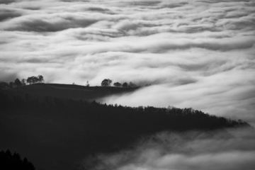 paesaggio in bianco e nero nella nebbia