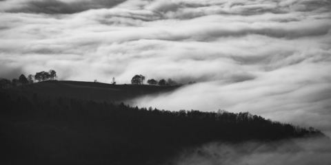 paesaggio in bianco e nero nella nebbia