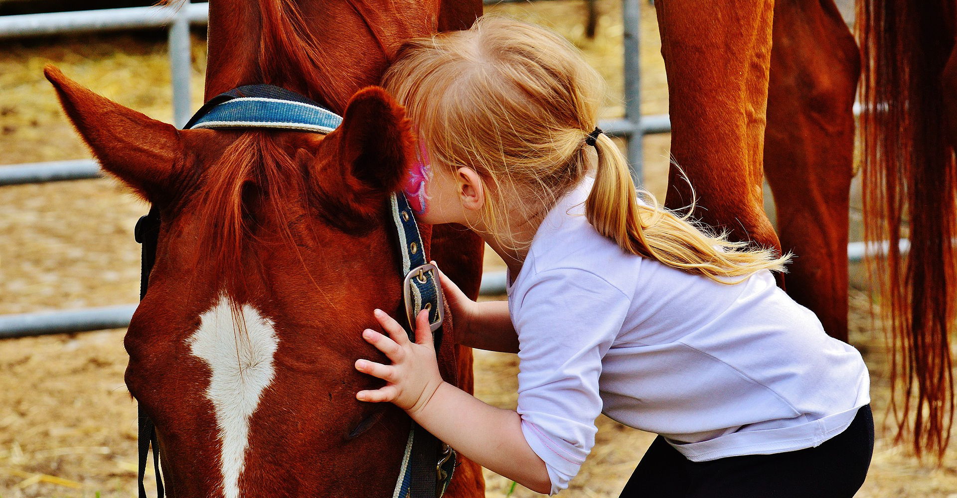Perché cavallo e bambino dovrebbero incontrarsi | Gianfranco Personé