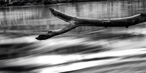 ramo in sospensione su un fiume che scorre